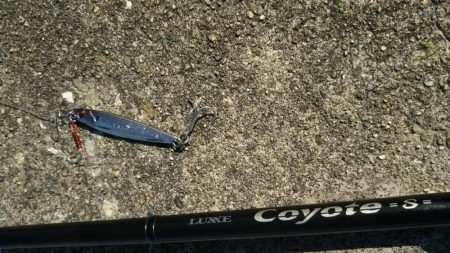 満員御礼で激渋